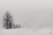 1st Mar 2018 - Minimalist Fog