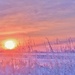 February Sunrise by lynnz