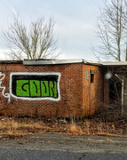 1st Mar 2018 - Green Graffiti