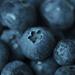 Blue - Blueberry by nicolecampbell