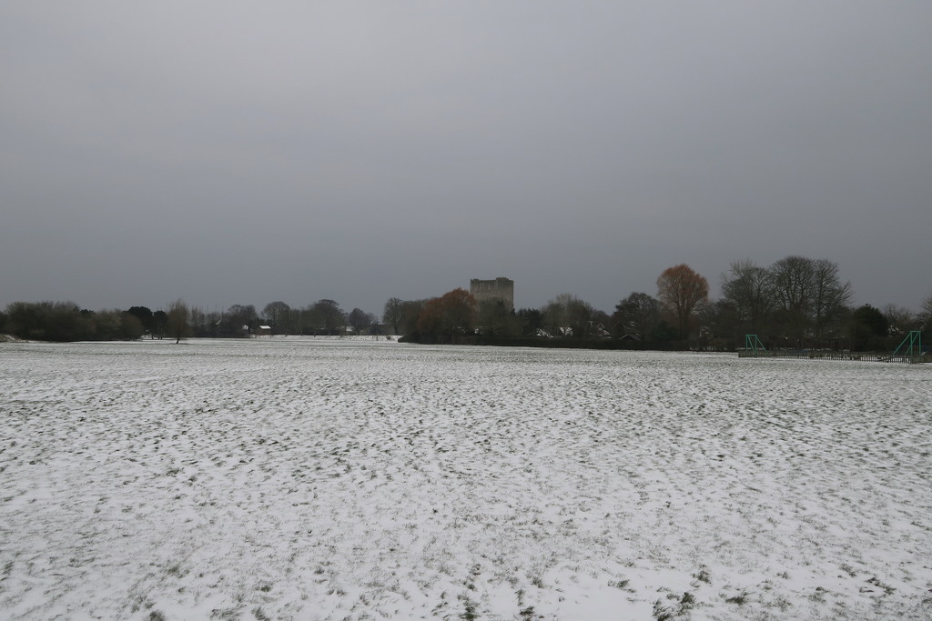 Snow Field by davemockford