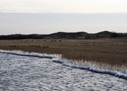 1st Mar 2018 - DSCN7621 ice, water and dunes