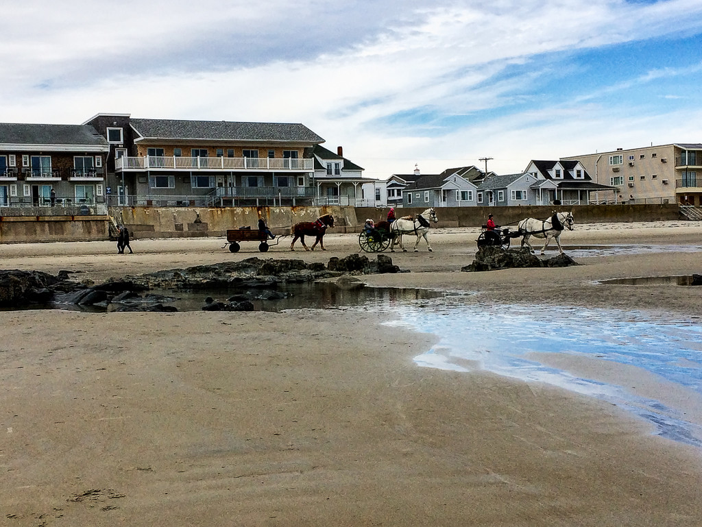 Horses on the Beach by joansmor
