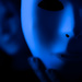 as we practice to deceive - blue! by northy