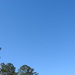 BLUE sky by homeschoolmom
