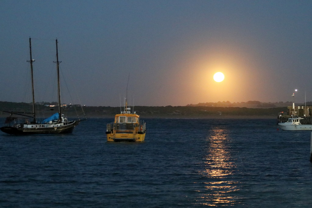 Moonrise over the bay by gilbertwood