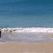 Lone Fisherman on Dolphin Beach by judithdeacon