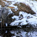Heron  by lifeat60degrees