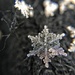 Snow flake. by cocobella