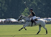 25th Apr 2019 - 115 Prince Charles Playing Polo at Windsor