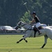 115 Prince Charles Playing Polo at Windsor by travel