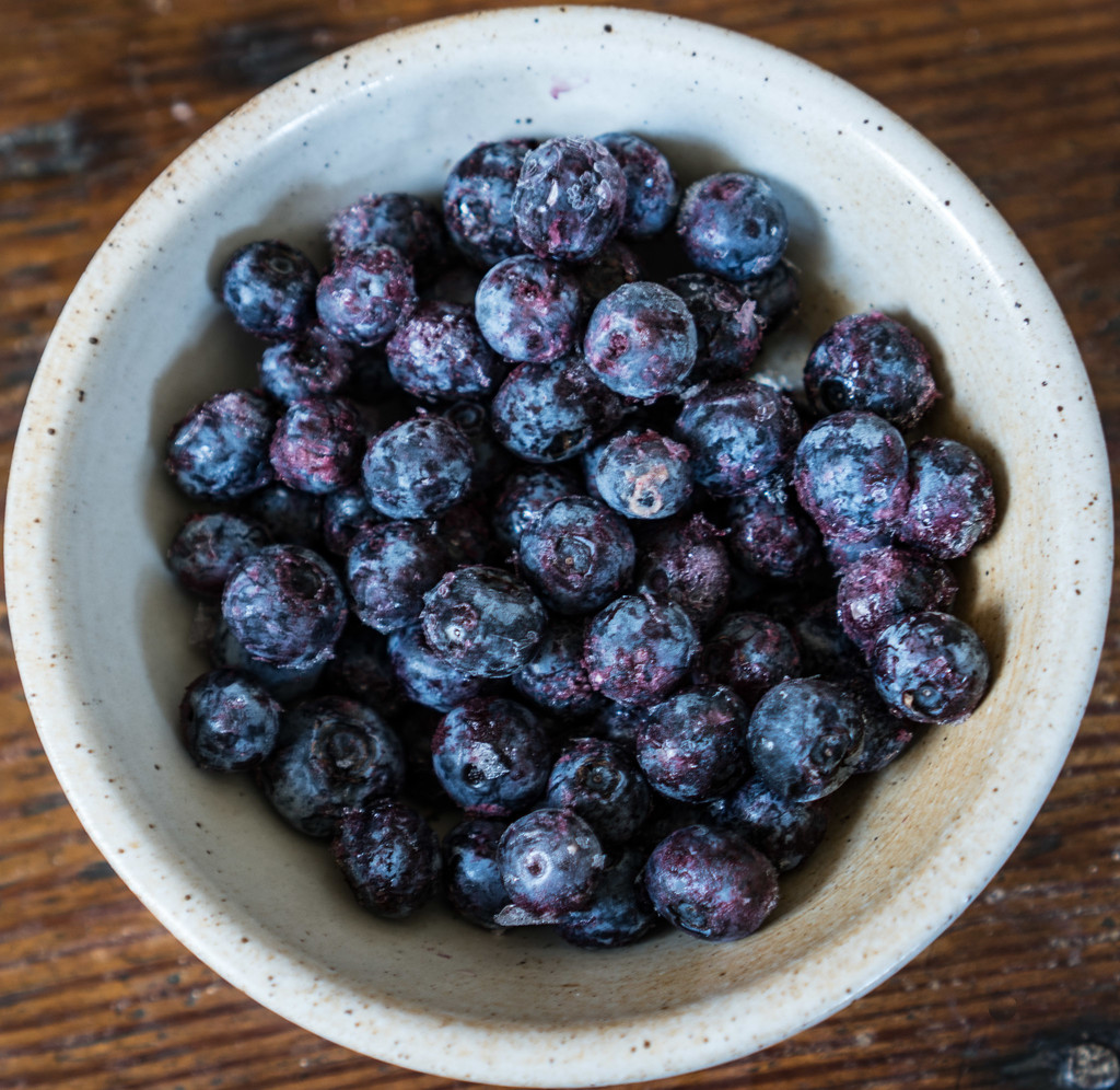 Indigo berries by randystreat