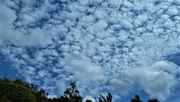 4th Mar 2018 - Beautiful Clouds ~