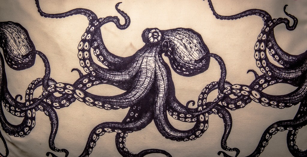 Octopus by swillinbillyflynn