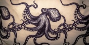 3rd Mar 2018 - Octopus