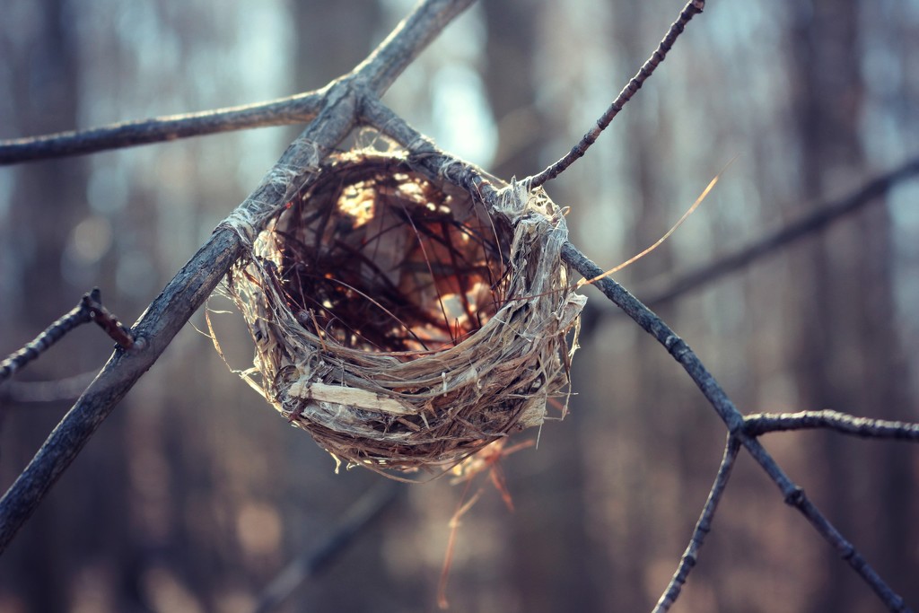 God Bless Our Tattered Little Home by juliedduncan