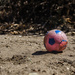 Pink Ball by salza