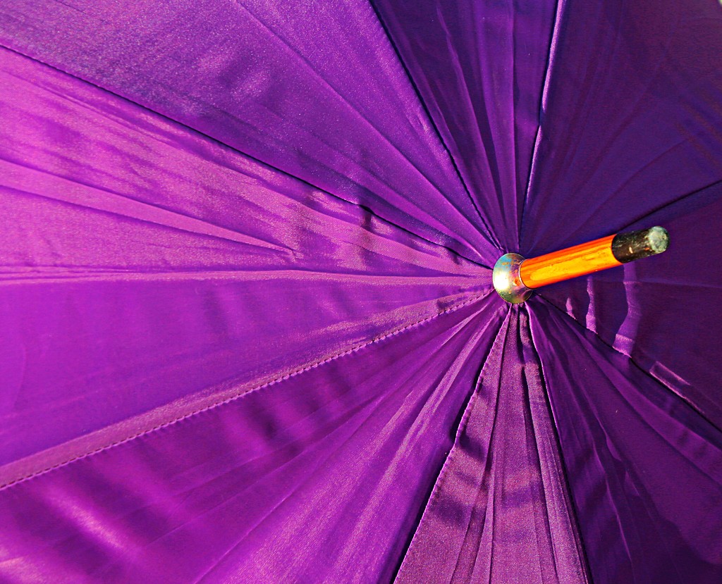 Purple radiance by kiwinanna