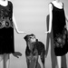 Two black dresses and a dog by jacqbb