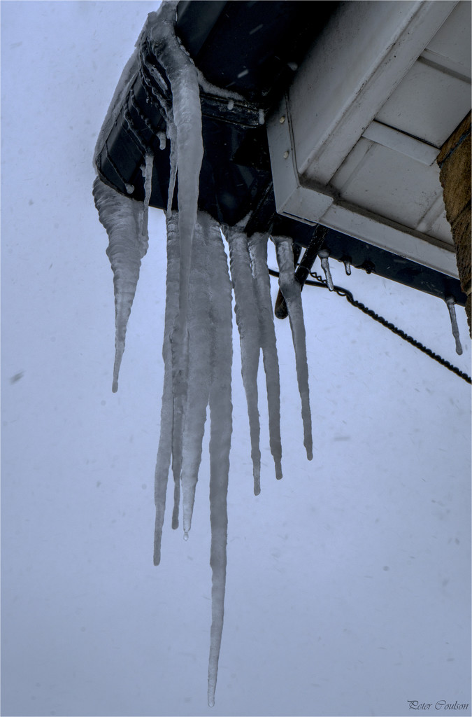 Icicles by pcoulson