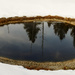 Reflecting Pool  by jgpittenger
