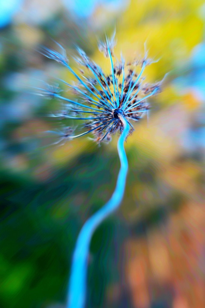 Pinwheel of My Mind by juliedduncan