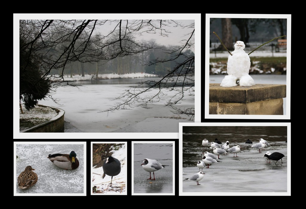 Winter in Highfield Park by oldjosh