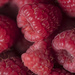 Red - Raspberry by nicolecampbell