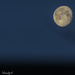 Full moon this morning by radiogirl
