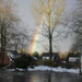 Rainbow by daffodill