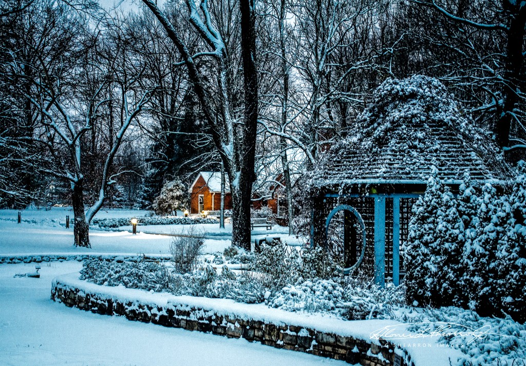 Inniswood Winter  by ggshearron