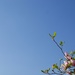 Blue sky by eudora