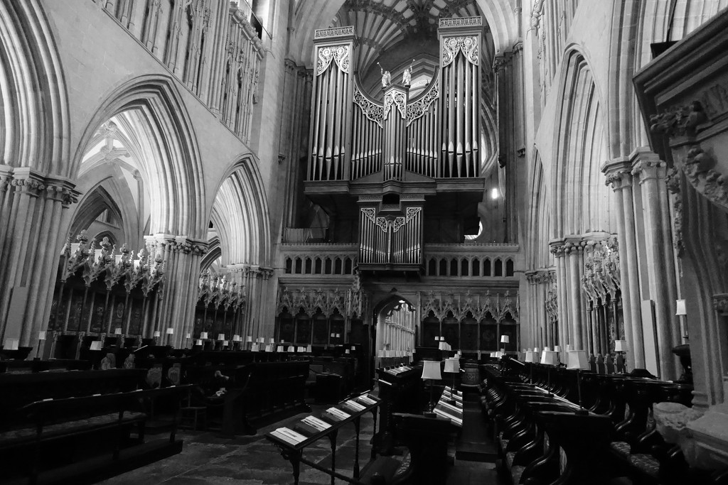 Wells Cathedral - the organ and the choir stalls by quietpurplehaze