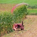 Haphazard harvester in hiding  by kiwinanna