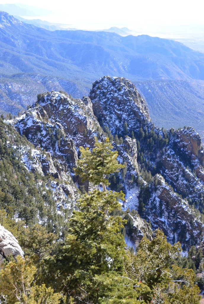 sandia tram looking down from the top by bigdad