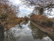 5th Mar 2018 - The River Wey