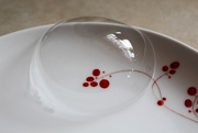 5th Mar 2018 - A plate with red and a bubble on it