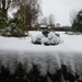 Winter garden .. by snowy