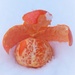 Orange Beast from the East by 30pics4jackiesdiamond
