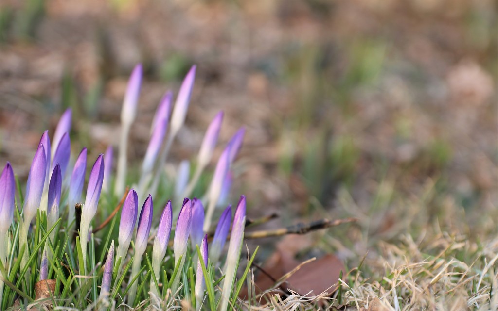 brighten the corner by edorreandresen