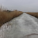 Frozen ditch  by pyrrhula