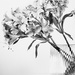 scissor vase by pistache
