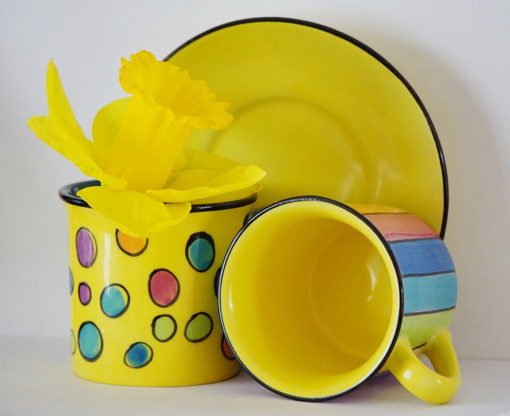 daffodil and small coffee cups by quietpurplehaze
