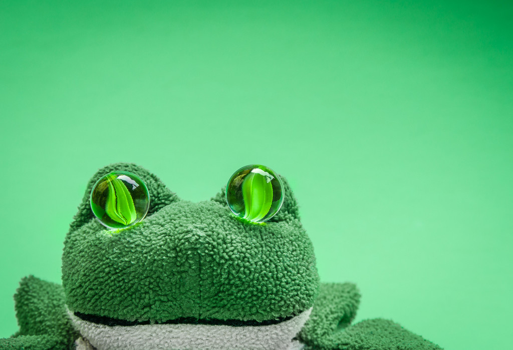 (Day 22) - Frog Eyes by cjphoto