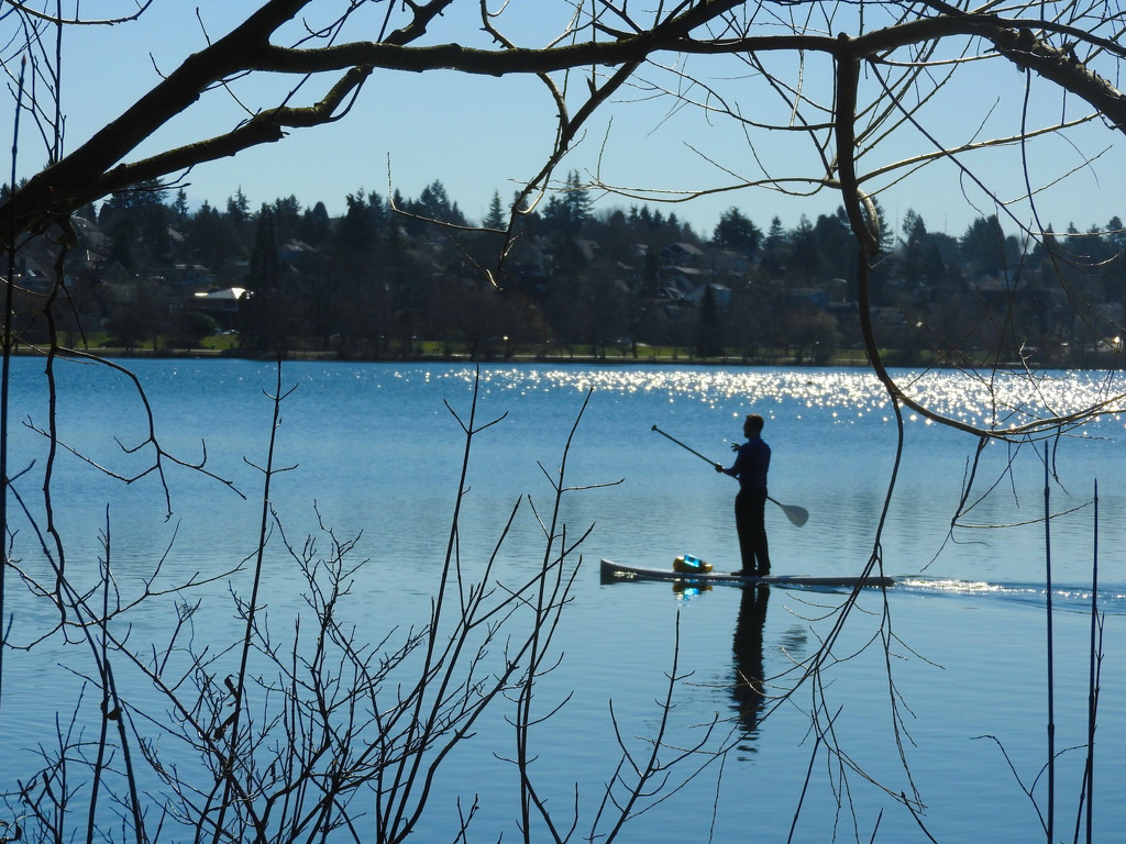 Green Lake Paddle Boarder by seattlite