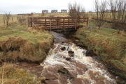 7th Mar 2018 - Footbridge