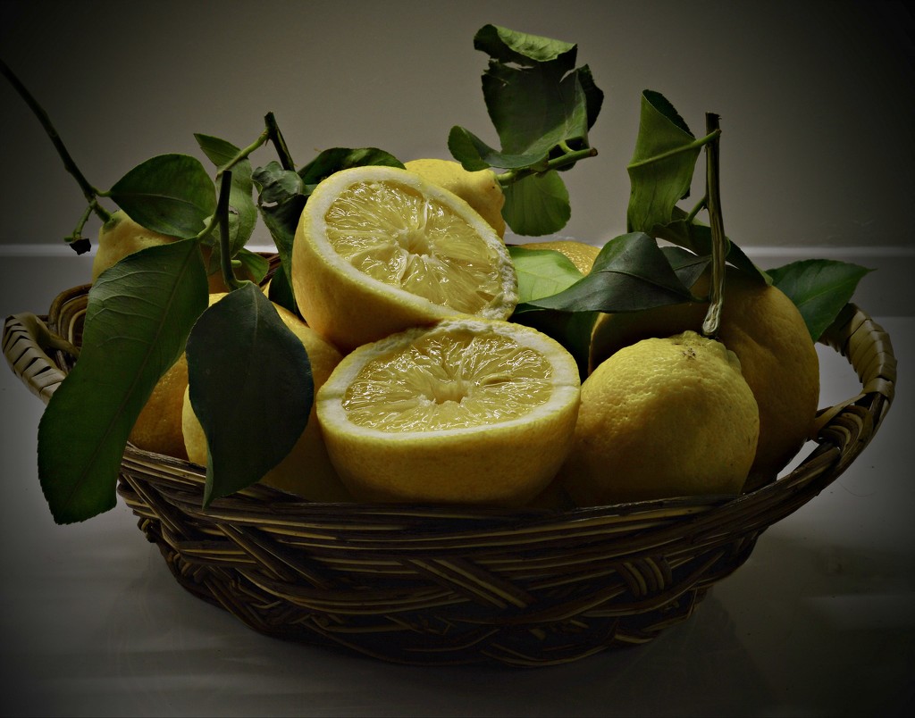 lemons March 7  by caterina