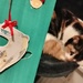 christmas card cat vs. the real cat by nami