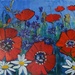 poppies in the field by gijsje