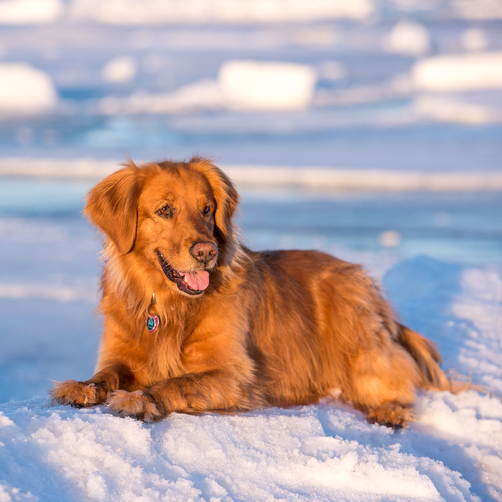 While I was shooting blue ice I met Molly by dridsdale